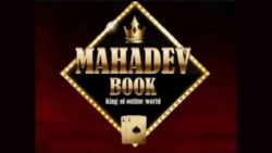 Mahadev Betting App Pune Connection 70 People Arrested