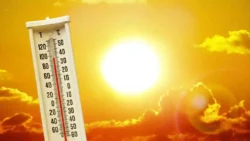 Maharashtra Weather Update Heat wave alert